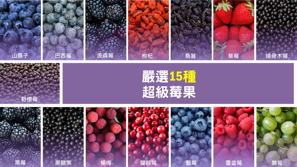 保健莓果粉原料生產(chǎn)與供應(yīng)